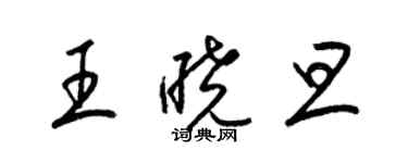 梁錦英王曉旦草書個性簽名怎么寫