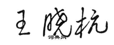 駱恆光王曉杭草書個性簽名怎么寫