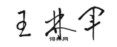 駱恆光王林軍草書個性簽名怎么寫