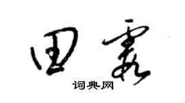 梁錦英田霞草書個性簽名怎么寫