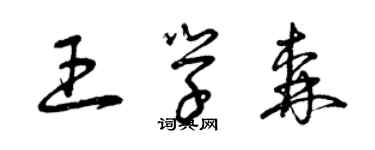 曾慶福王學森草書個性簽名怎么寫