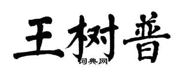 翁闓運王樹普楷書個性簽名怎么寫