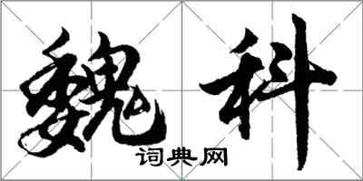 胡問遂魏科行書怎么寫