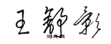 駱恆光王舒影草書個性簽名怎么寫