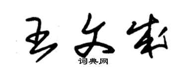 朱錫榮王文成草書個性簽名怎么寫