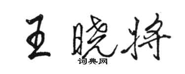 駱恆光王曉將行書個性簽名怎么寫