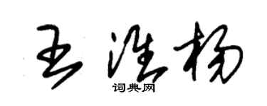 朱錫榮王淮楊草書個性簽名怎么寫