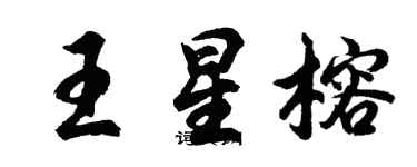 胡問遂王星榕行書個性簽名怎么寫