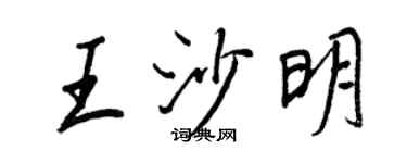 王正良王沙明行書個性簽名怎么寫