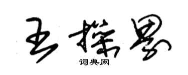 朱錫榮王操界草書個性簽名怎么寫