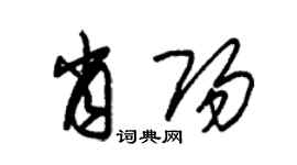 朱錫榮肖陽草書個性簽名怎么寫