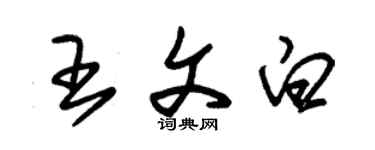 朱錫榮王文白草書個性簽名怎么寫