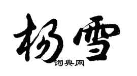 胡問遂楊雪行書個性簽名怎么寫