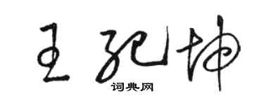 駱恆光王紀坤草書個性簽名怎么寫