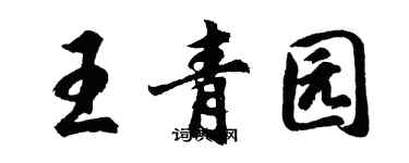 胡問遂王青園行書個性簽名怎么寫