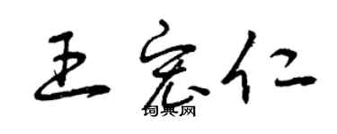 曾慶福王宏仁草書個性簽名怎么寫