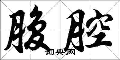 胡問遂腹腔行書怎么寫