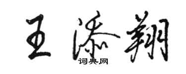 駱恆光王添翔行書個性簽名怎么寫