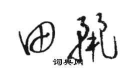駱恆光田麗草書個性簽名怎么寫