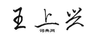 駱恆光王上興行書個性簽名怎么寫