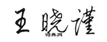 駱恆光王曉謹行書個性簽名怎么寫