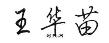 駱恆光王華苗行書個性簽名怎么寫