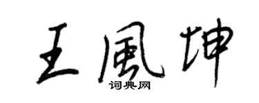 王正良王風坤行書個性簽名怎么寫