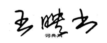 朱錫榮王映書草書個性簽名怎么寫