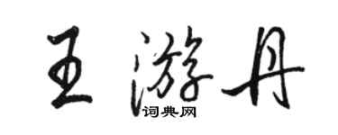 駱恆光王游丹行書個性簽名怎么寫