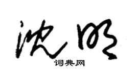 朱錫榮沈明草書個性簽名怎么寫