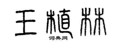 曾慶福王植林篆書個性簽名怎么寫