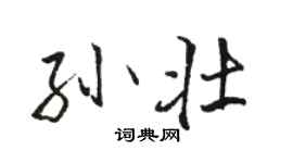 駱恆光孫壯行書個性簽名怎么寫