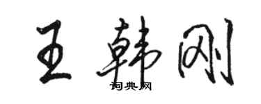 駱恆光王韓剛行書個性簽名怎么寫