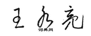 駱恆光王水亮草書個性簽名怎么寫