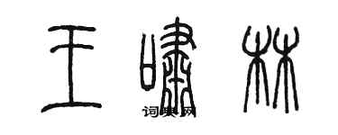 陳墨王嘯林篆書個性簽名怎么寫