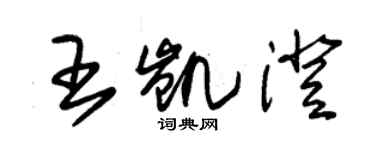 朱錫榮王凱澄草書個性簽名怎么寫