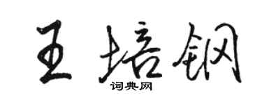 駱恆光王培鋼行書個性簽名怎么寫