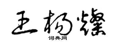 曾慶福王楊燦草書個性簽名怎么寫