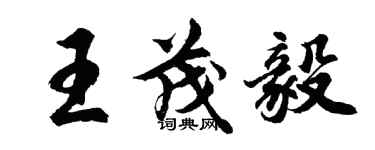 胡問遂王茂毅行書個性簽名怎么寫