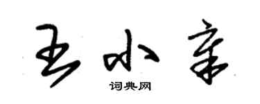 朱錫榮王小章草書個性簽名怎么寫