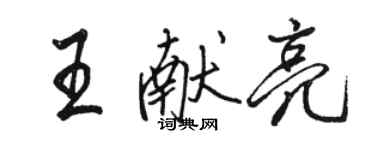 駱恆光王獻亮行書個性簽名怎么寫