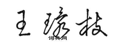 駱恆光王環枝草書個性簽名怎么寫