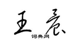 梁錦英王晨草書個性簽名怎么寫