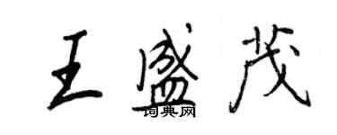 王正良王盛茂行書個性簽名怎么寫