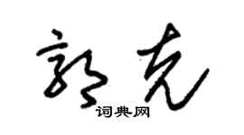 朱錫榮郭克草書個性簽名怎么寫
