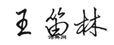 駱恆光王笛林行書個性簽名怎么寫