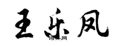 胡問遂王樂鳳行書個性簽名怎么寫