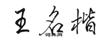 駱恆光王名楷行書個性簽名怎么寫