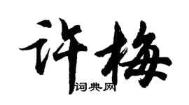 胡問遂許梅行書個性簽名怎么寫