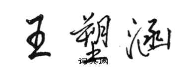 駱恆光王塑涵行書個性簽名怎么寫